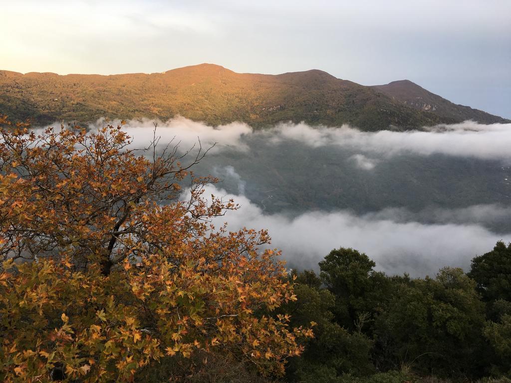 Mourésion Kalderimi Country House Bed & Breakfast エクステリア 写真